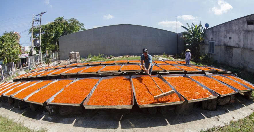 Ẩm thực quê hương